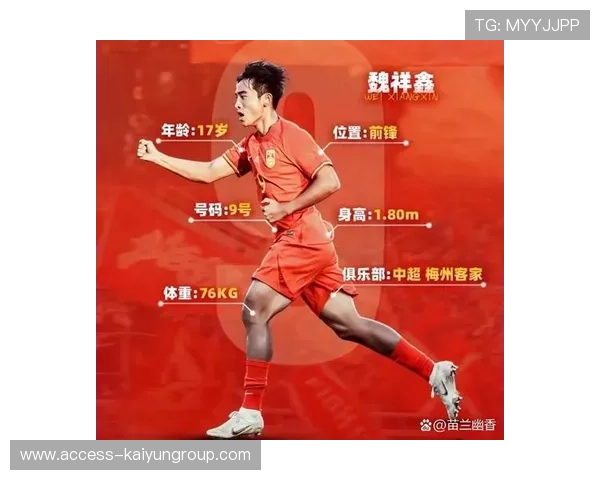 魏祥鑫若在法甲站稳，会带动哪些商业合作？