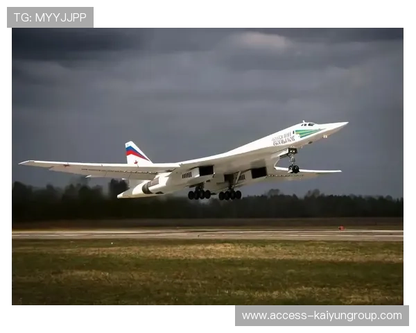 德甲包袱?金色侦察机难获一分钟出战机会,金色轰炸机 金色侦察机 德甲包袱?金色侦察机难获一分钟出战机会,金色轰炸机 金色侦察机