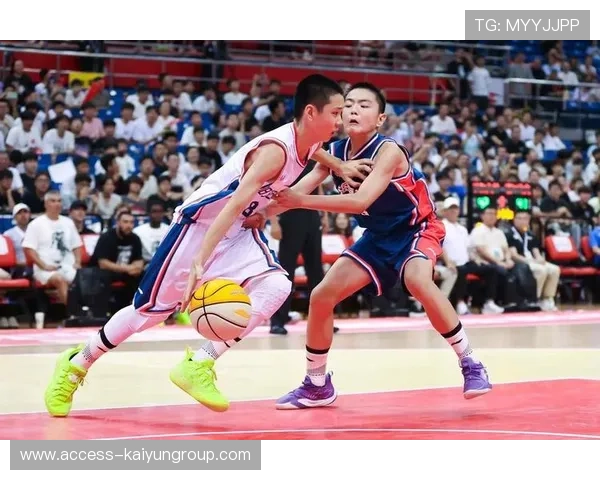 篮球项目在中国地方特色体育品牌建设中的作用探讨，篮球在体育产业市场中的价值